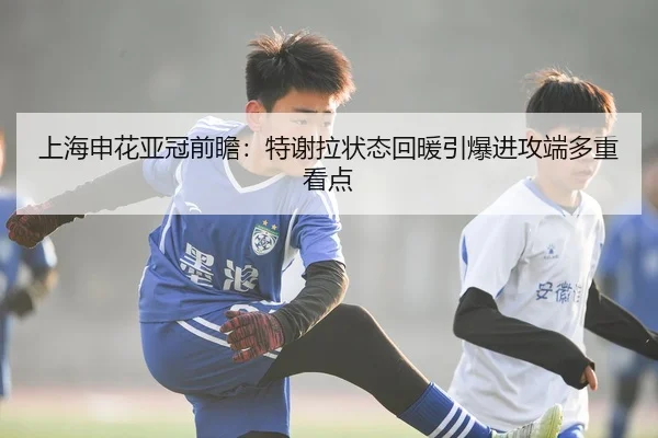上海申花亚冠前瞻：特谢拉状态回暖引爆进攻端多重看点